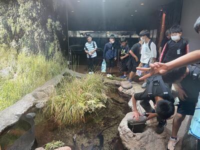 なにがかくれているのかな