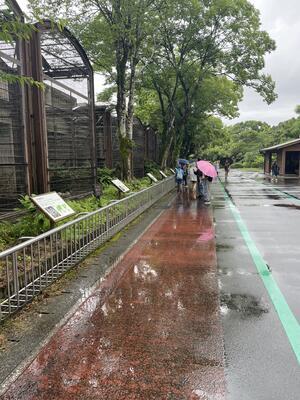 園内は広いですよ