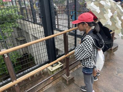 視線の先には何がいる？