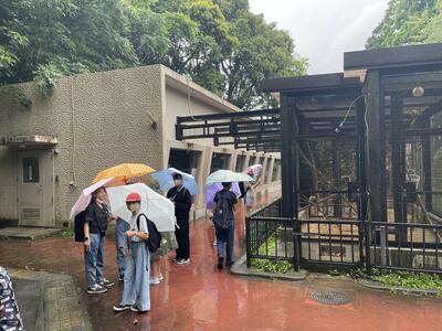 動物は雨でも平気なのかな？