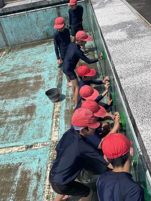 きれいなプールにするぞ！