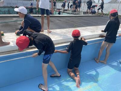 小プールもきれいになりました