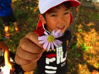 これ何の花ですか？