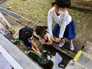 これから水が冷たくなるね