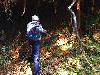 画像がぶれてますが、手ざわり確認中