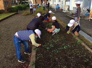 小さな草も見逃さないぞ！