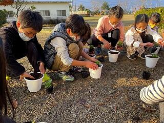 きれいな花を咲かせてね。