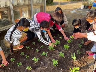 花が咲くのが楽しみだね。