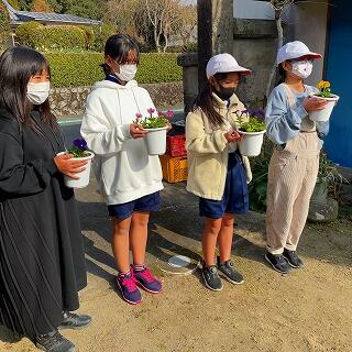 こんなにきれいに咲きました