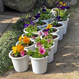 ちょっと早いクリスマスプレゼントですね