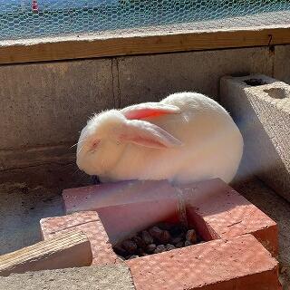 早くみんなと会いたいなぁ…