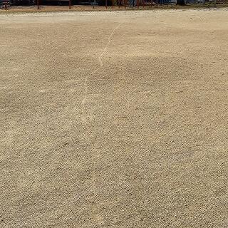 謎の生物が通った跡か？