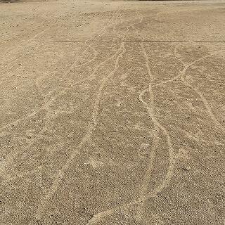 いっぱいありました(^^;)