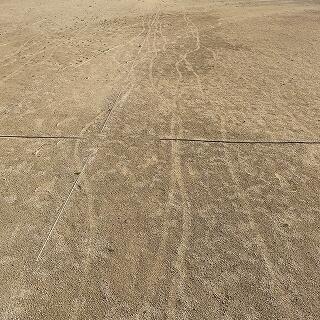 この筋は…そう、あの跡ですね