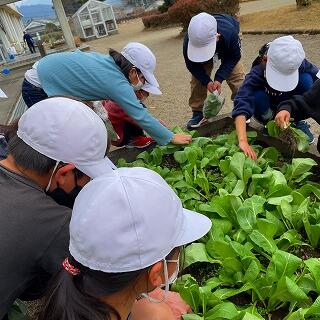 大きくなりましたねぇ