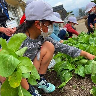 ちぎれないように気を付けてとろう