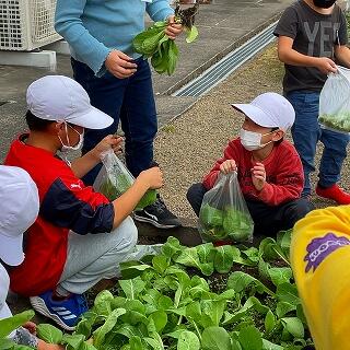 大きいのがとれたよ！