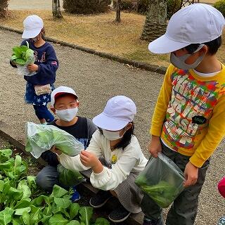 どうやって食べるのかなぁ