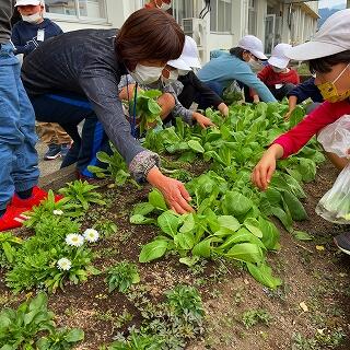 ほら、これがおいしそうよ