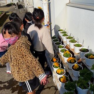 ジョーロを交代で使います