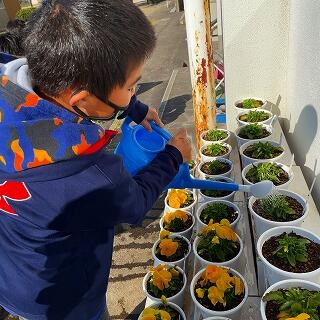 きれいな花を咲かせてね