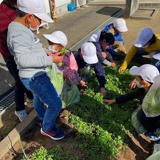どこにあるかな？