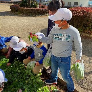 ちっちゃいかな