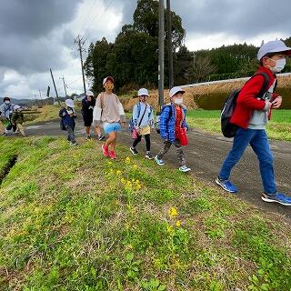 菜の花も咲いていますよ。