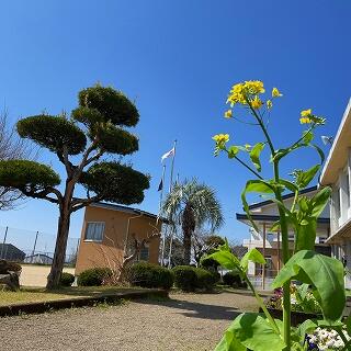 気持ちのよい青空