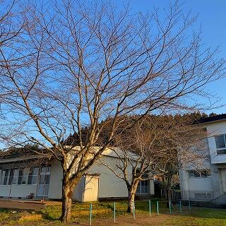 見えますか、右上ですよ