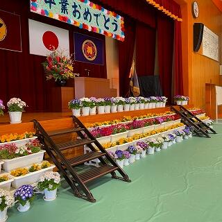 花もきれいです！