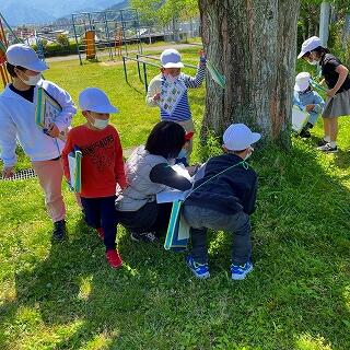 どんな生き物がいるかな？