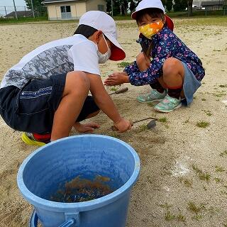 草に負けないぞ！