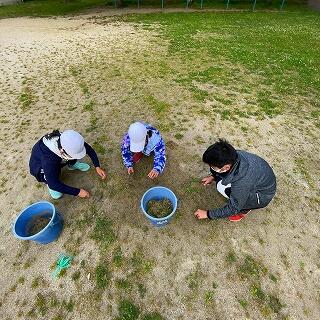 まだまだたくさんあるなぁ