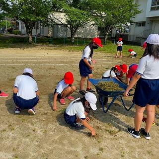 走りやすい運動場になるといいね