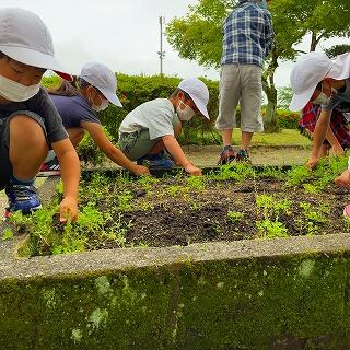 小さな草も抜きますよ