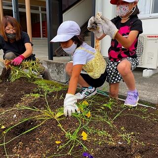 大きな草もなんのその