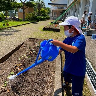 あらら、大丈夫かな？おイモ…