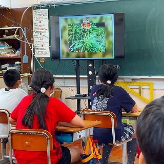 テレビで聞いたことあるなぁ