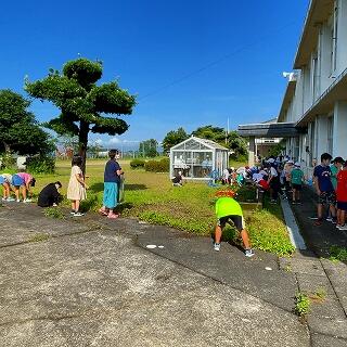 既に太陽が照り付けています！