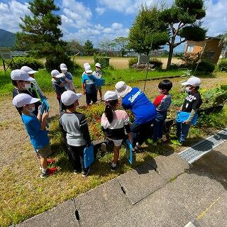 花はどうなったかな？