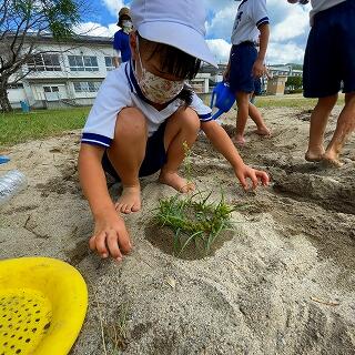 飾りつけまできれいにできましたね！