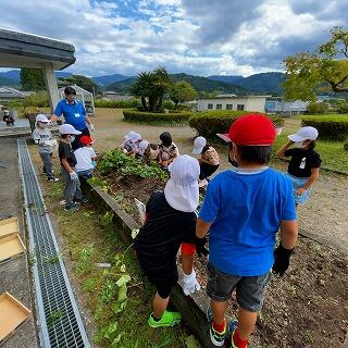 さぁ、掘りますよ！