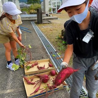 おいしそう…