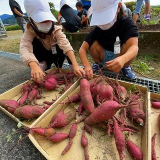 いろんな形があって面白いね