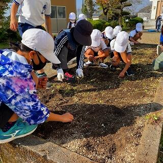 花壇の草をぬきます