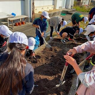 やわらかい花壇を作りましょう