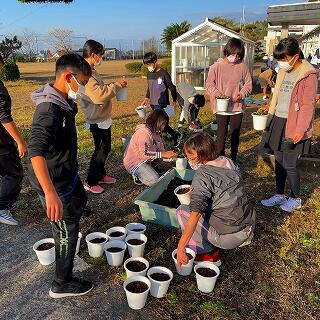 土の準備もできましたよ！