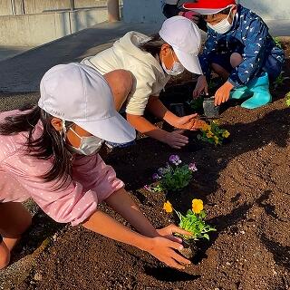 大切に植えていますね