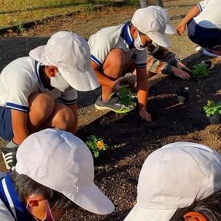 どのくらいの穴がいいかな